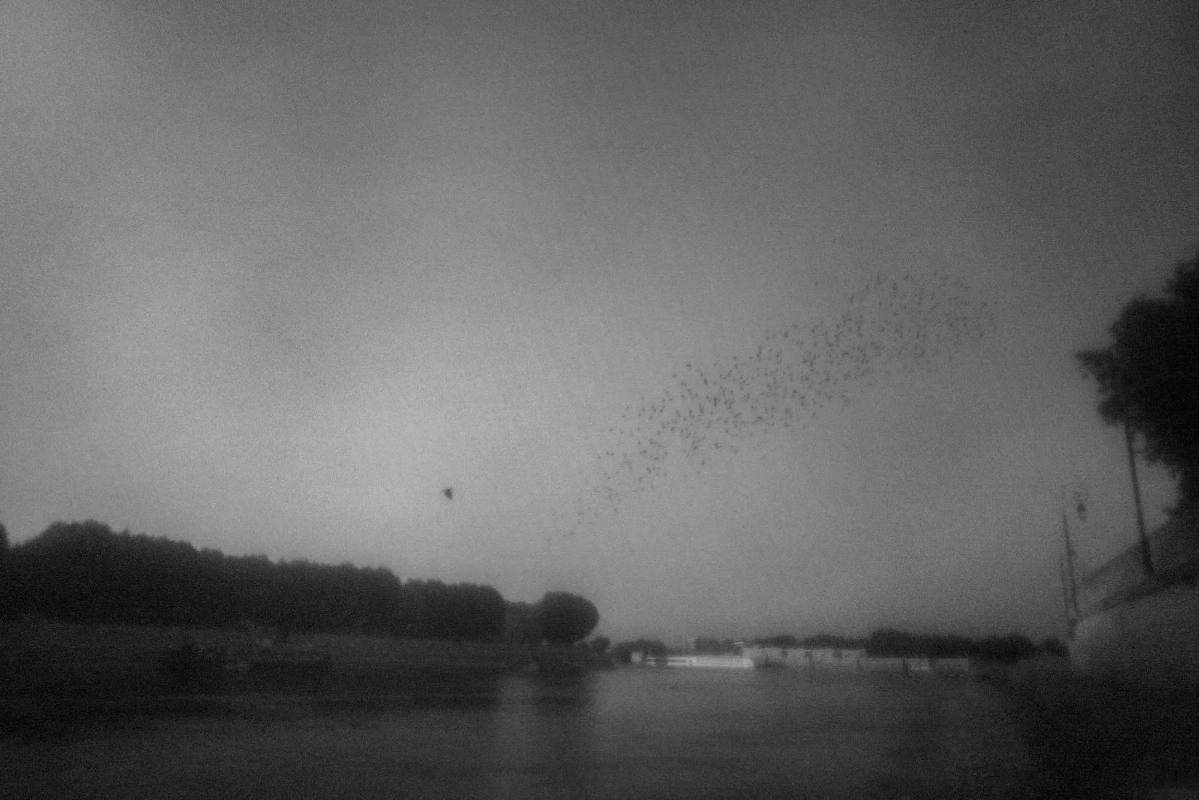 Moksha, Arles, France, 2024.