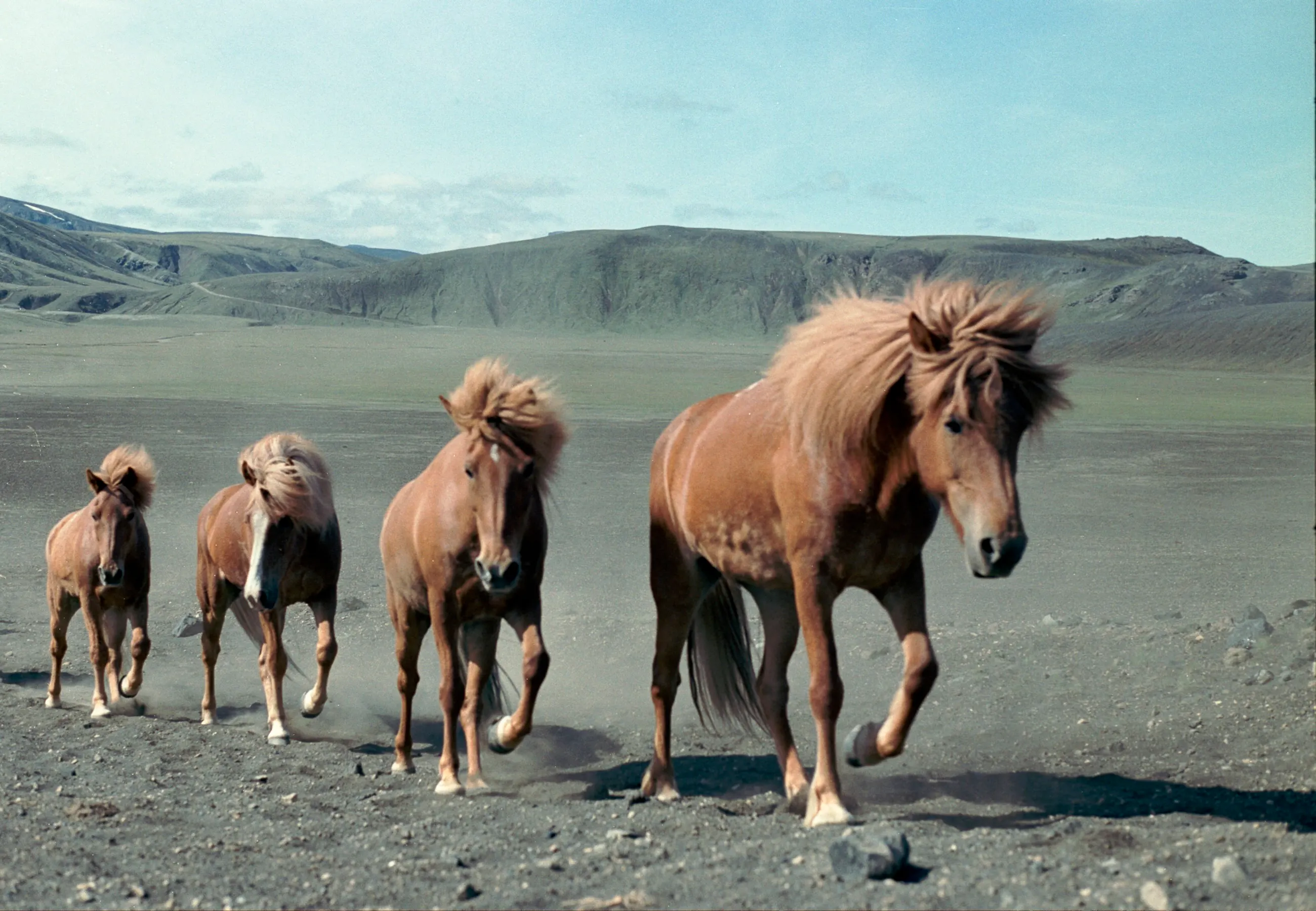 Iceland