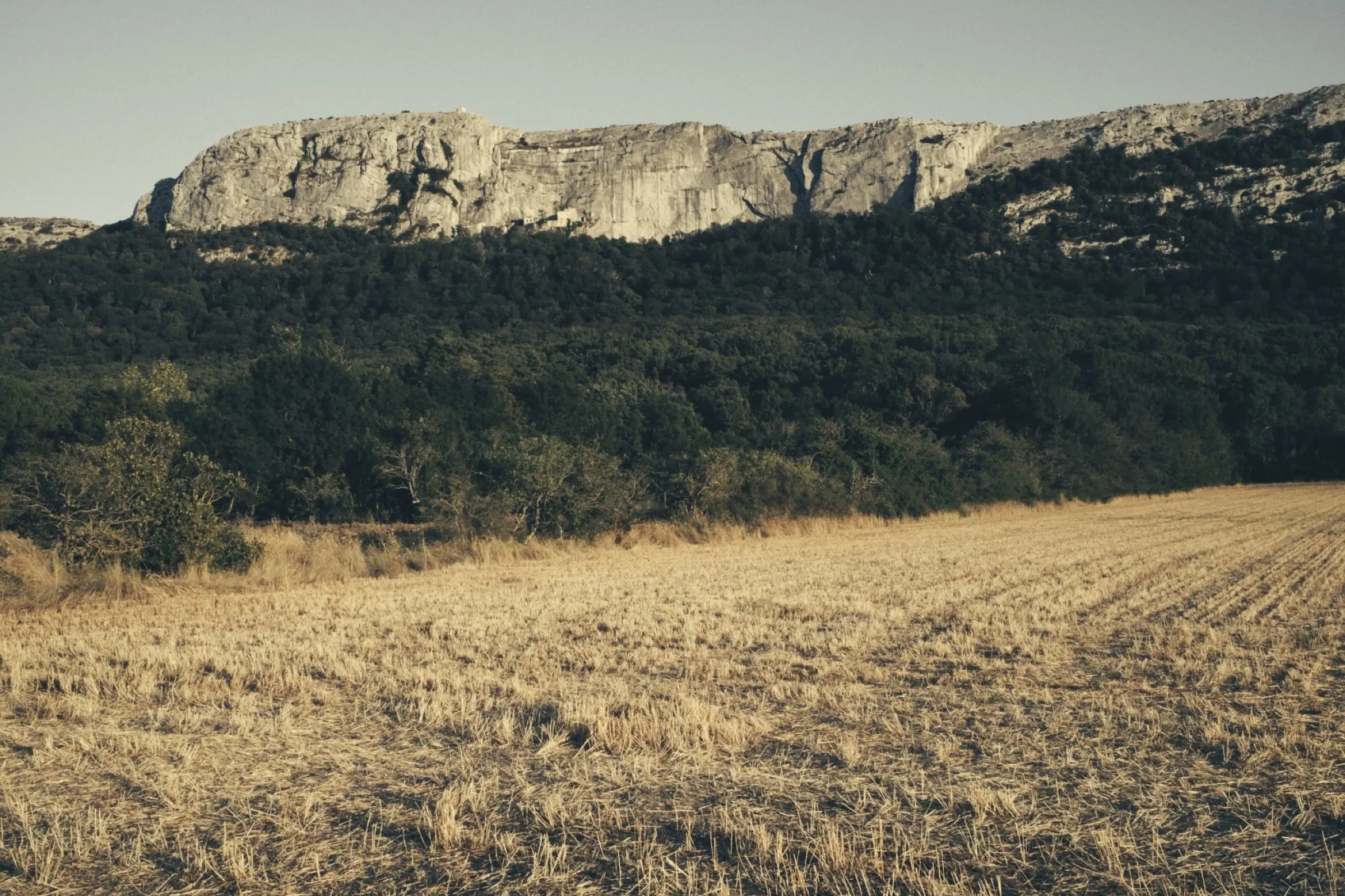 Le massif, La Sainte-Baume, France, 2021.
