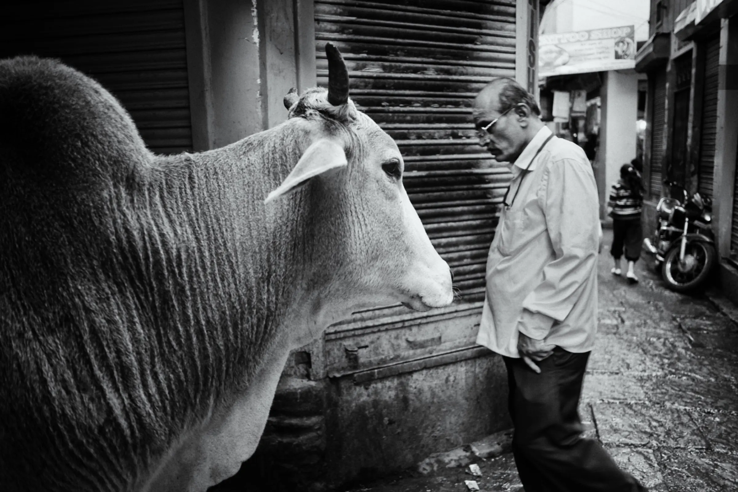 Voyage en Orient, Rajasthan, Birmanie, Indonésie, 2014.