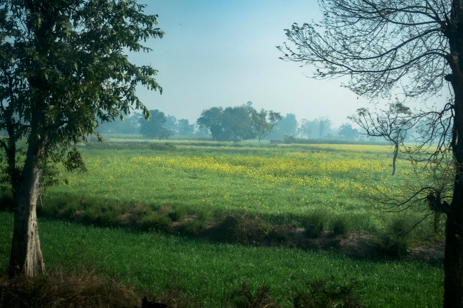 On the way to Benares, Rajasthan, Inde, 2013.