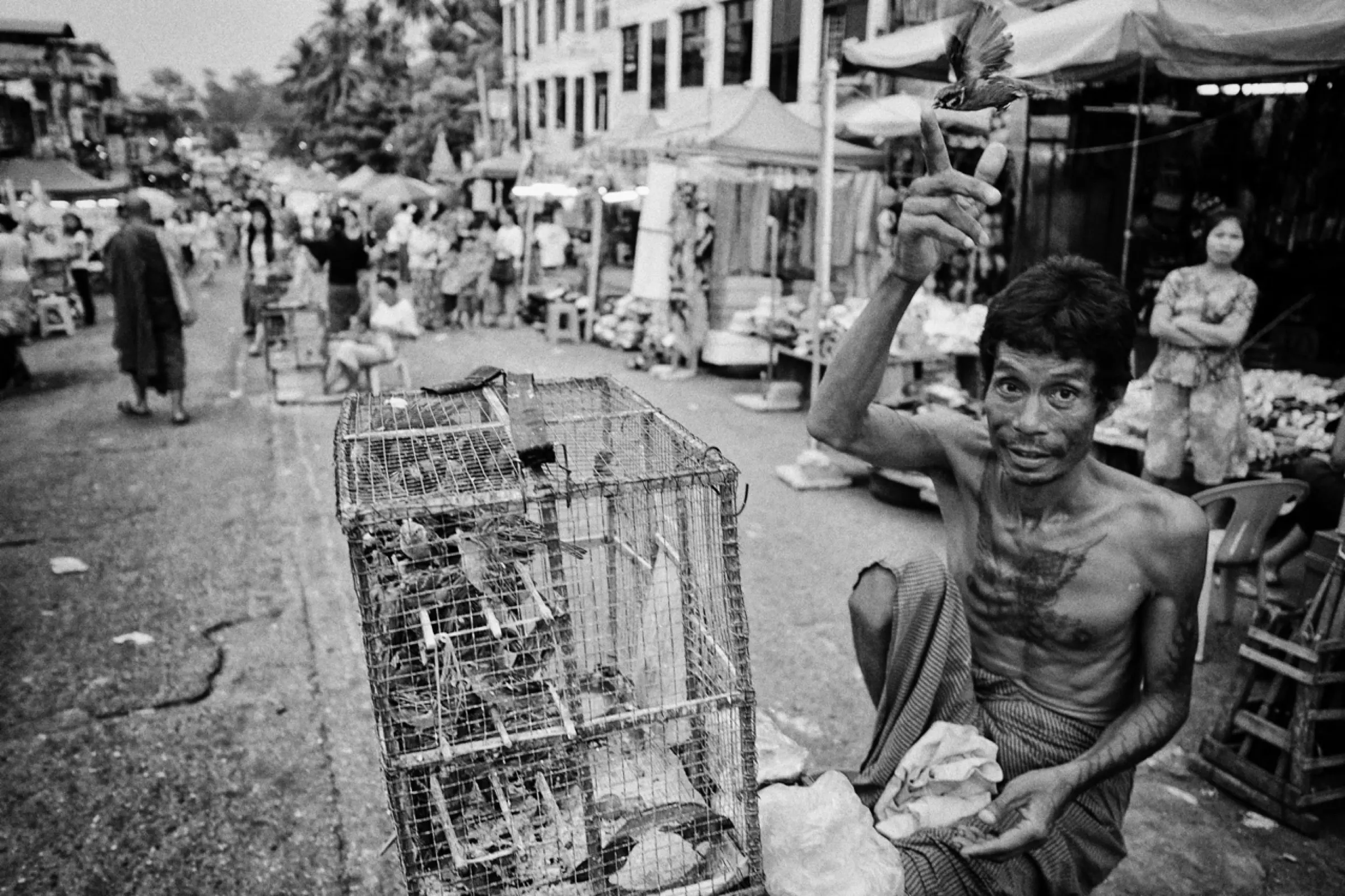 Voyage en Orient, Rajasthan, Birmanie, Indonésie, 2014.